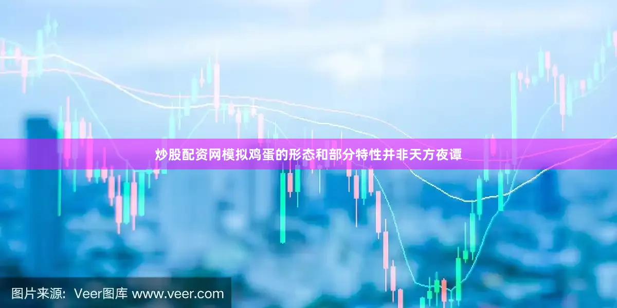 炒股配资网模拟鸡蛋的形态和部分特性并非天方夜谭