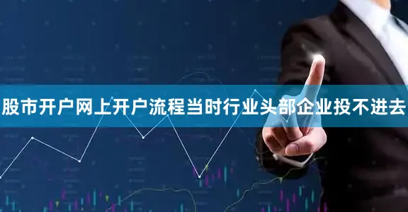 股市开户网上开户流程当时行业头部企业投不进去