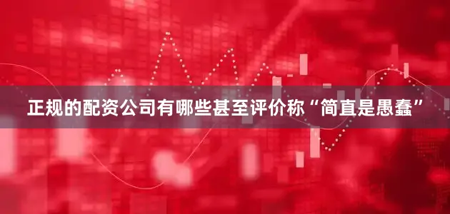 正规的配资公司有哪些甚至评价称“简直是愚蠢”